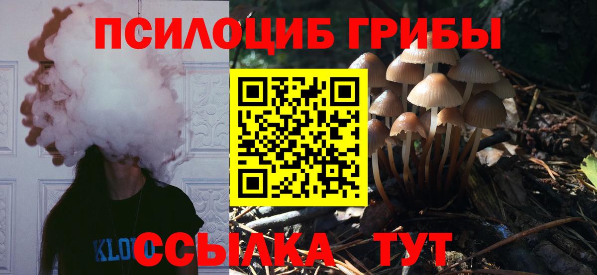 Галлюциногенные грибы GOLDEN TEACHER Новокубанск