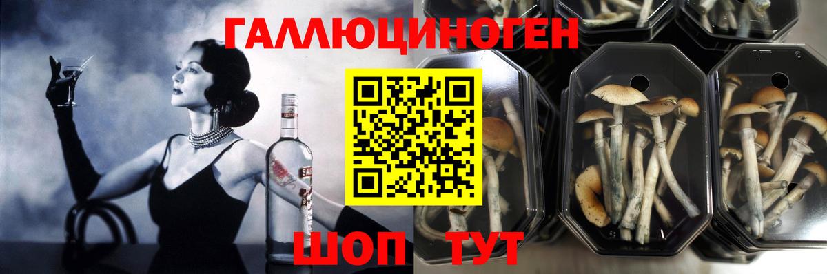 Псилоцибиновые грибы мицелий  Псилоцибиновые грибы ЛСД  Вход с VPN  Новокубанск 