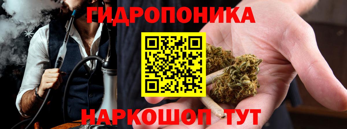 Бошки Шишки планчик  МАРИХУАНА семена  Новокубанск  Вход с VPN  Бошки Шишки THC 21%  Марихуана OG Kush 
