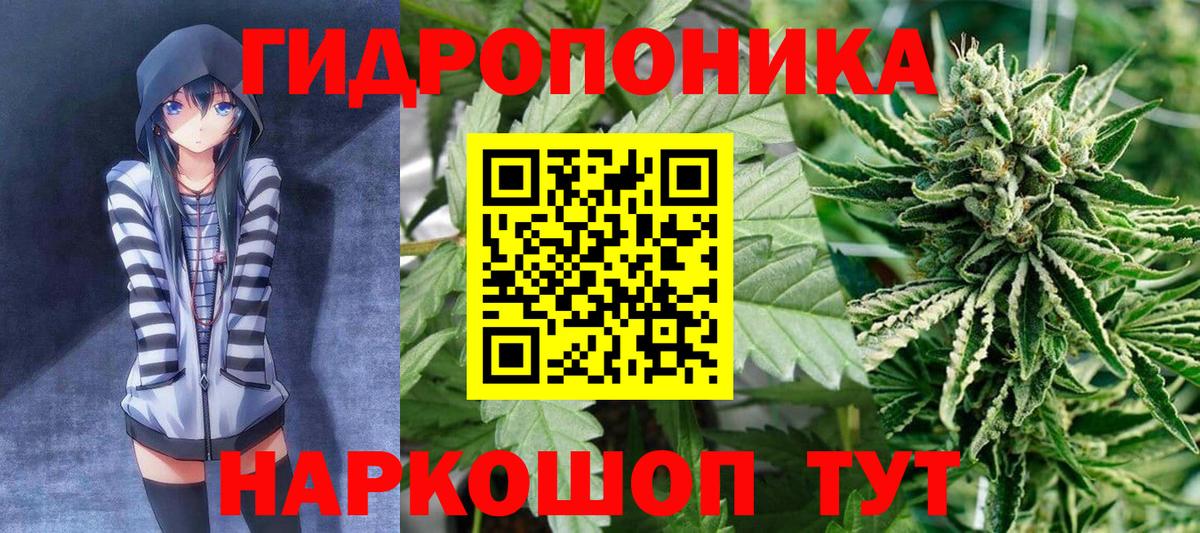 Бошки Шишки планчик Новокубанск